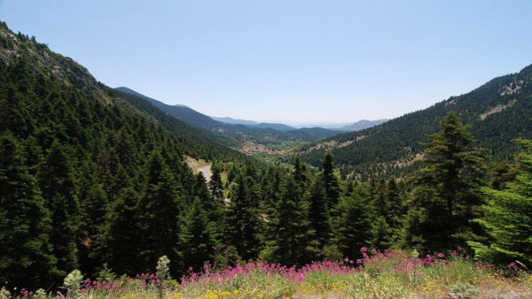 Childs learn about mountain 22 April 2023 - Copy