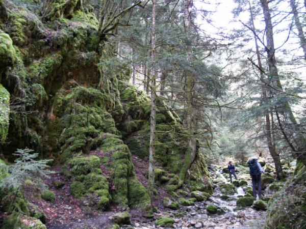 WESTERN MAINELO 9 April 2023