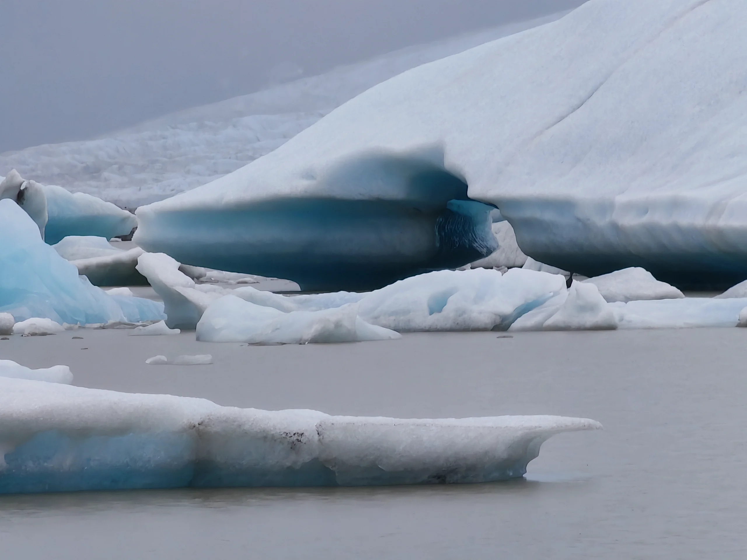 Fjallsárlón Iceberg Boat Tours & Ice Floating